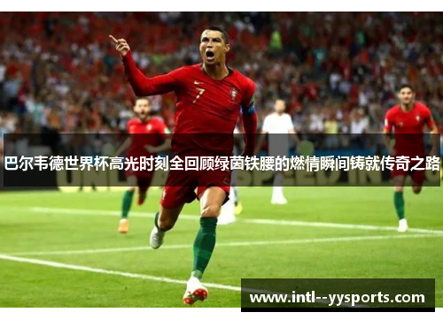巴尔韦德世界杯高光时刻全回顾绿茵铁腰的燃情瞬间铸就传奇之路
